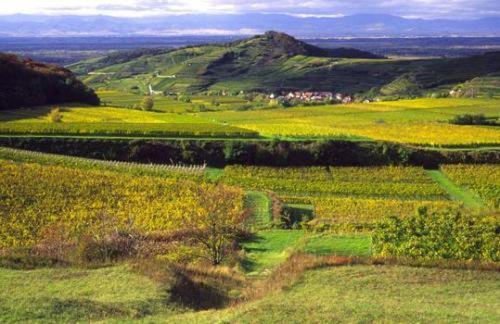Landgasthof Zum Lamm Bahlingen  Exteriér fotografie