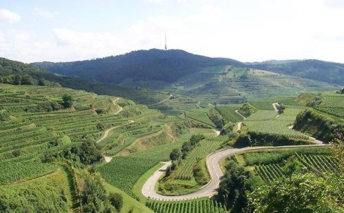 Landgasthof Zum Lamm Bahlingen  Exteriér fotografie
